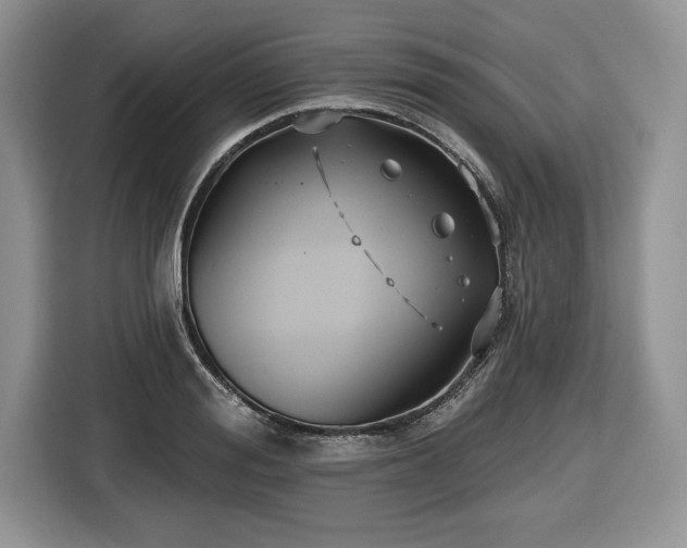 X0000116430988200912151015