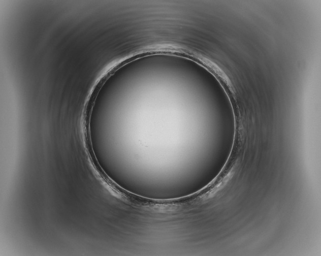 X0000116430989200912151015