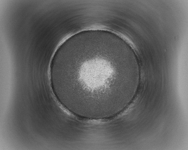 X0000116430990200912151015