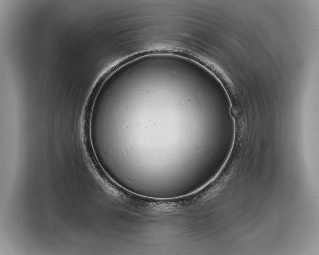 X0000116430991200912151014