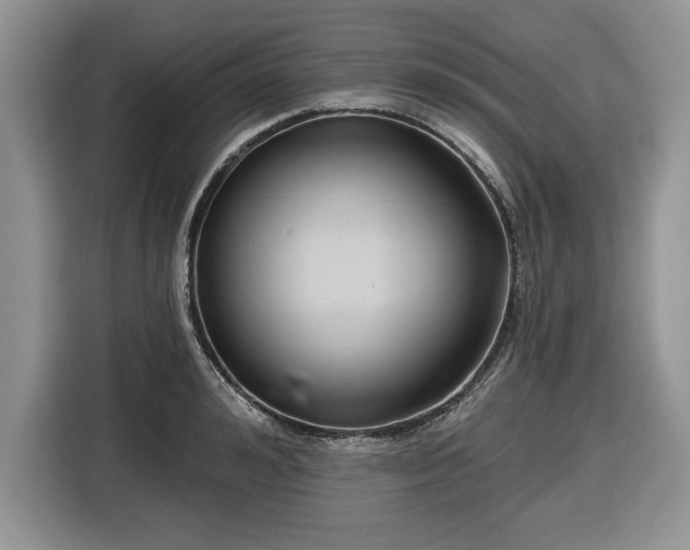 X0000116430992200912151014