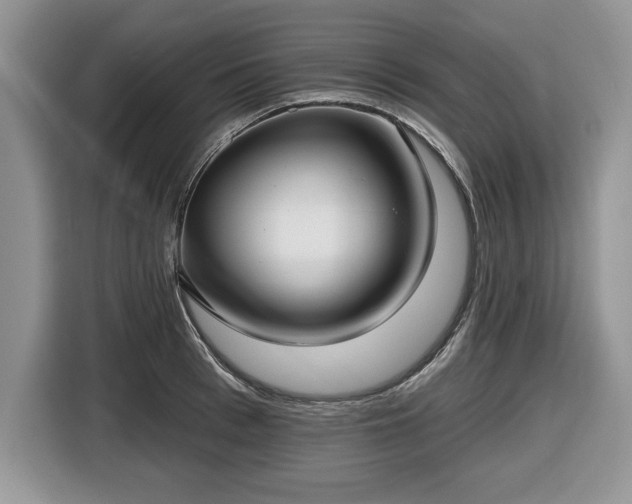 X0000116430993200912151014