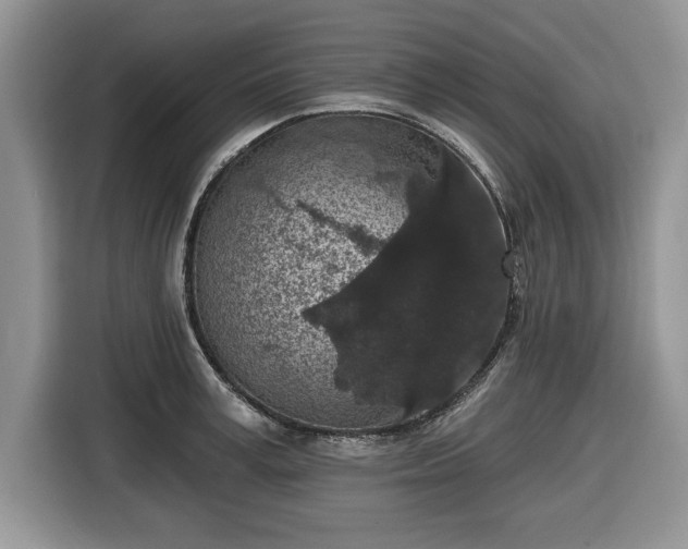 X0000116430995200912151014