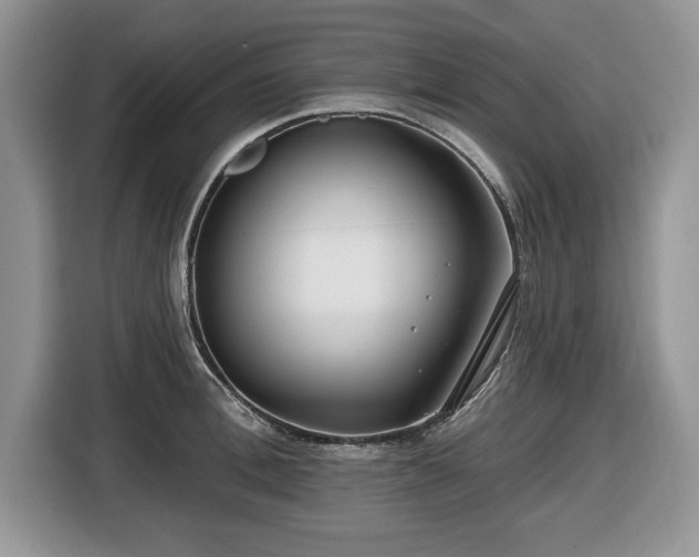 X0000116430996200912151014