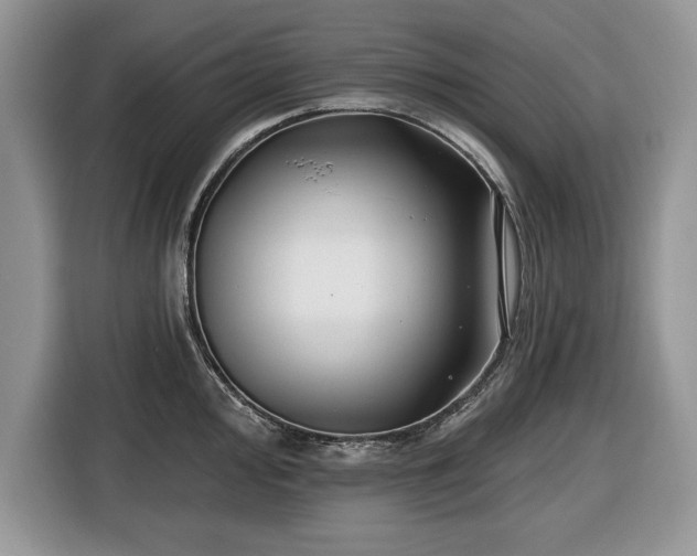 X0000116431000200912151014