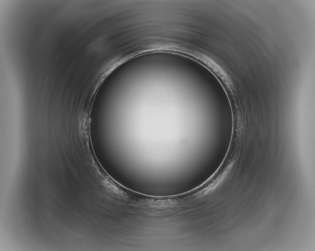 X0000116431001200912151014