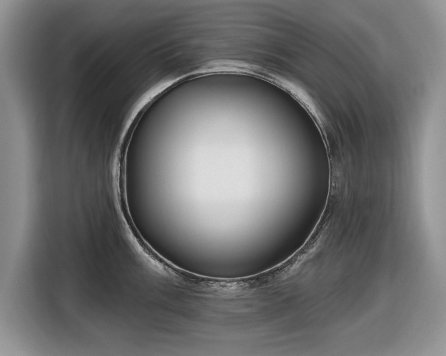 X0000116431003200912151014