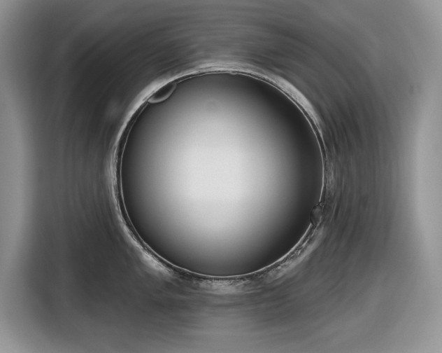 X0000116431005200912151014