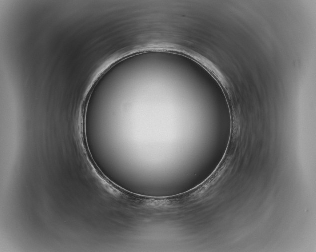 X0000116431006200912151014