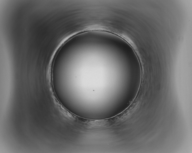 X0000116431008200912151014