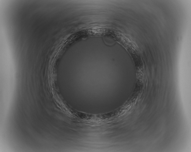 X0000116431009200912151014