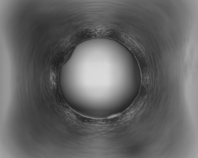 X0000116431010200912151014