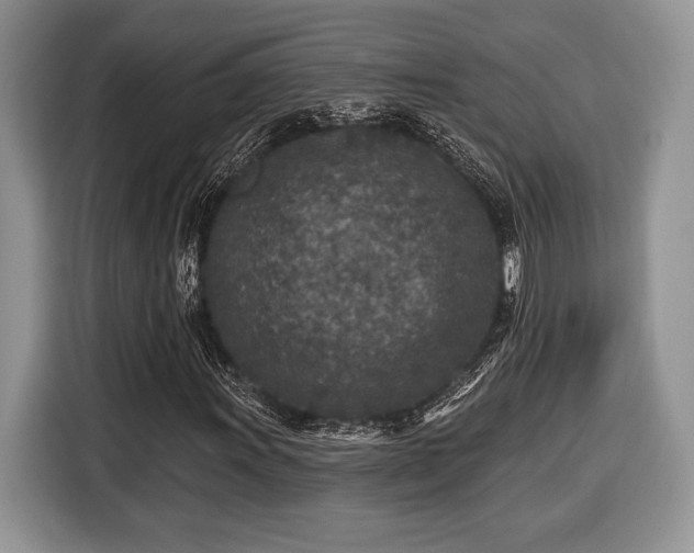 X0000116431011200912151014