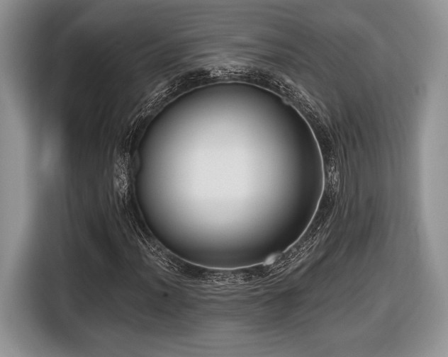 X0000116431012200912151014