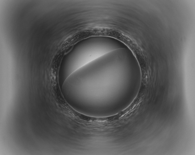 X0000116431013200912151014
