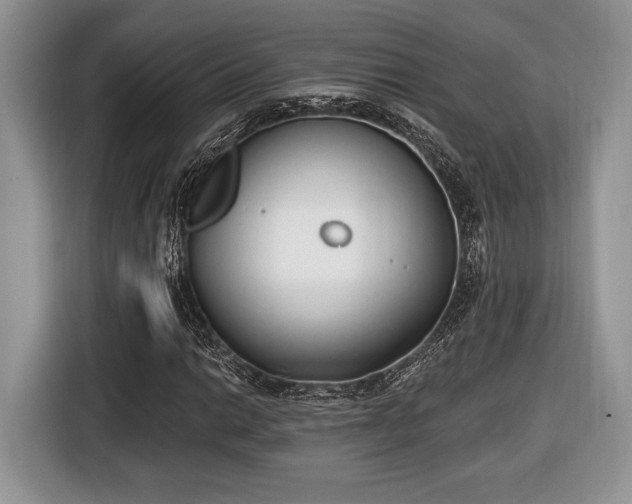 X0000116431014200912151014
