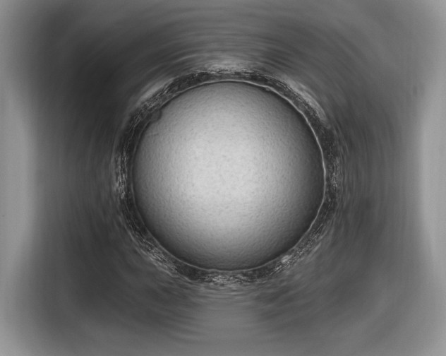 X0000116431015200912151014