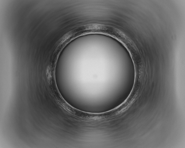 X0000116431017200912151014