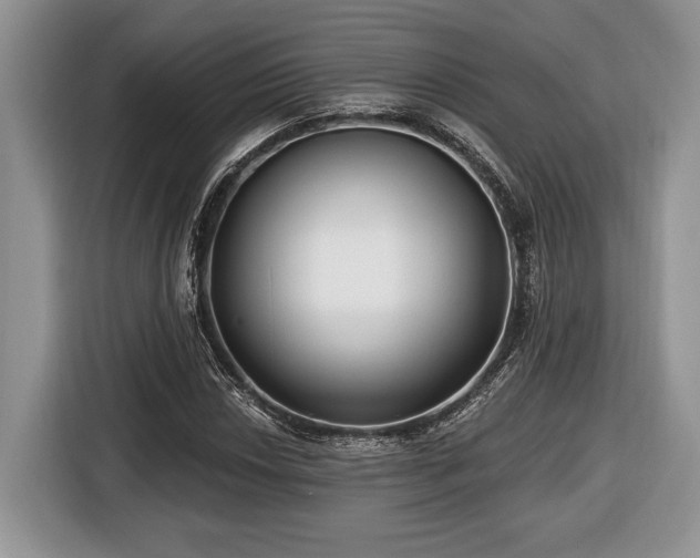 X0000116431018200912151014