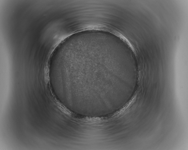 X0000116431019200912151014