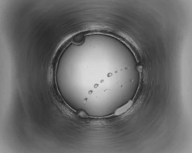 X0000116431021200912151014