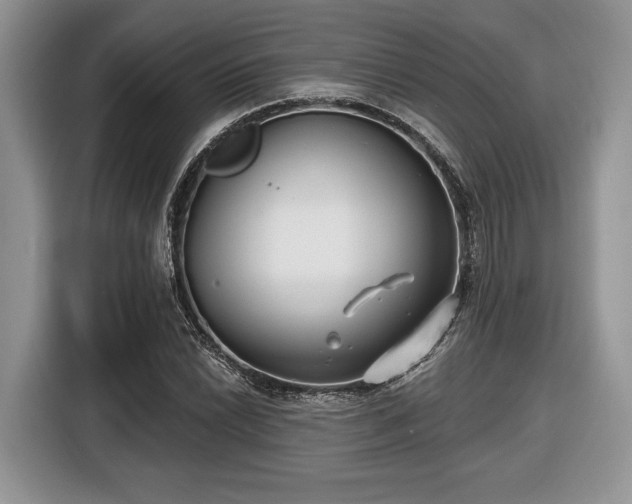 X0000116431022200912151014