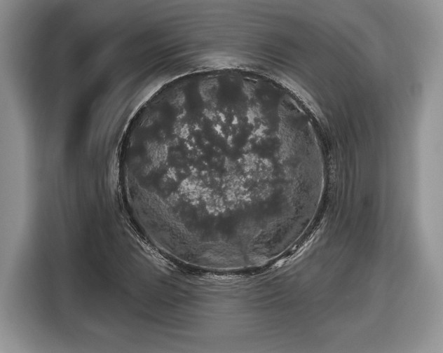 X0000116431023200912151014
