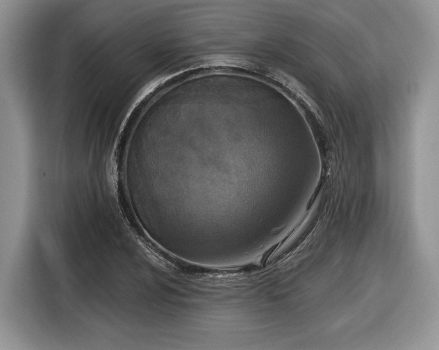X0000116431024200912151014