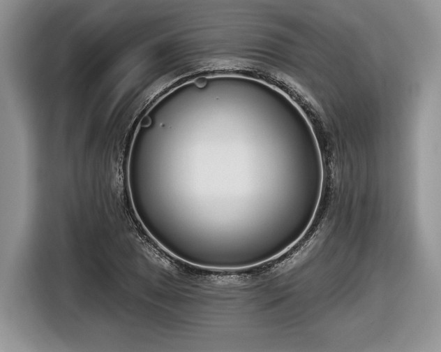 X0000116431025200912151014
