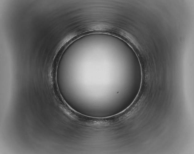X0000116431026200912151014