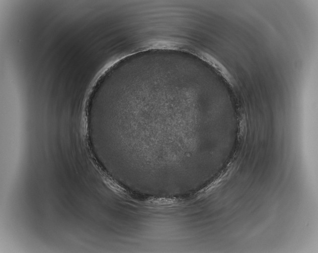 X0000116431027200912151014