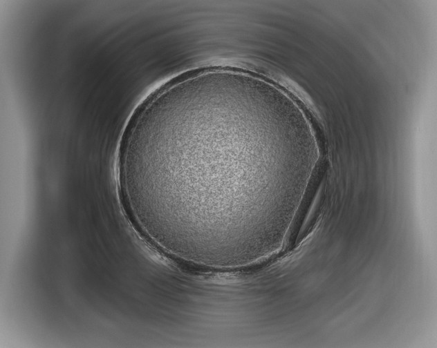 X0000116431028200912151014