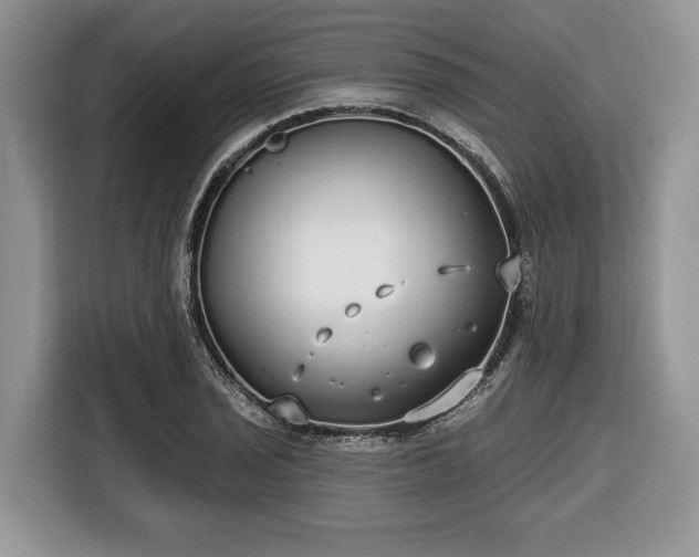 X0000116431029200912151014