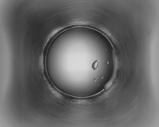 X0000116431030200912151014