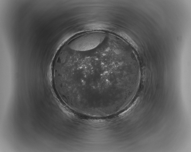 X0000116431031200912151014