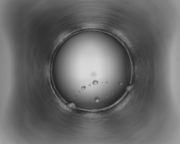 X0000116431033200912151014