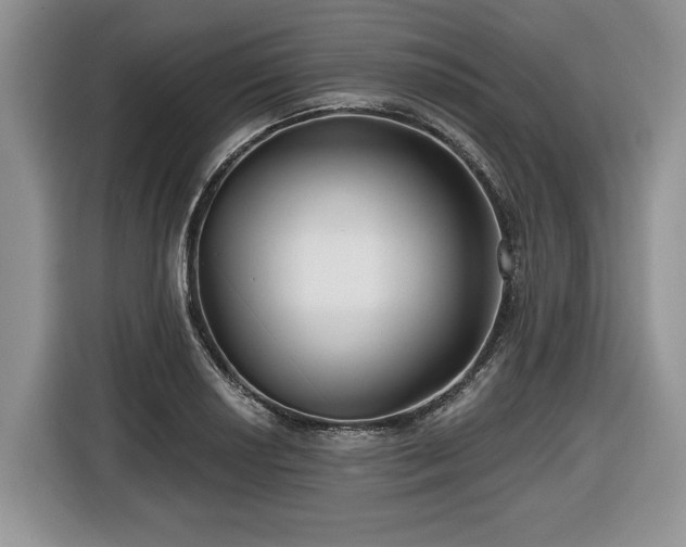 X0000116431034200912151014
