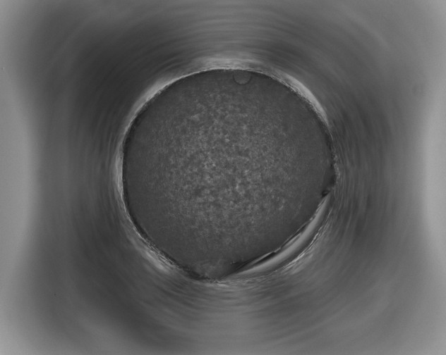 X0000116431035200912151014