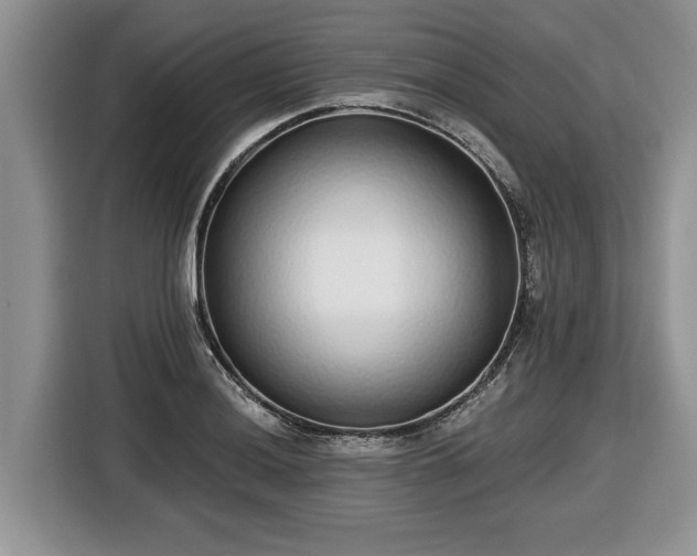 X0000116431036200912151014