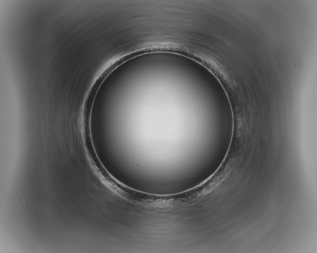 X0000116431038200912151014