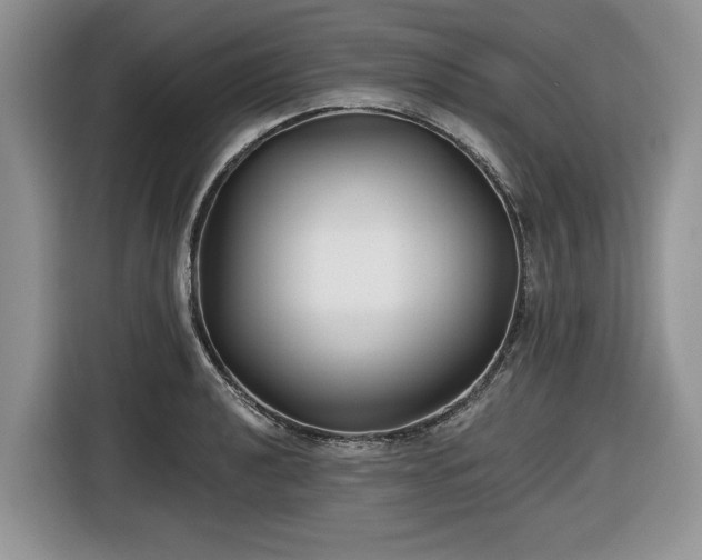 X0000116431040200912151014