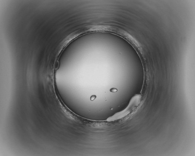 X0000116431041200912151014