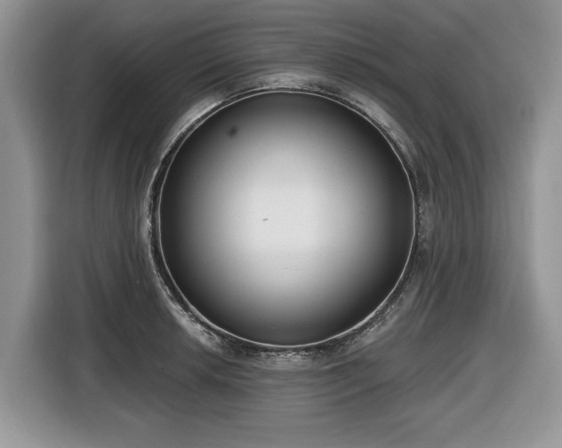 X0000116431042200912151014
