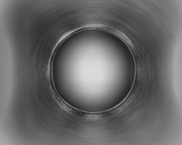 X0000116431044200912151014