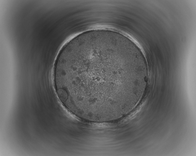 X0000116431045200912151014