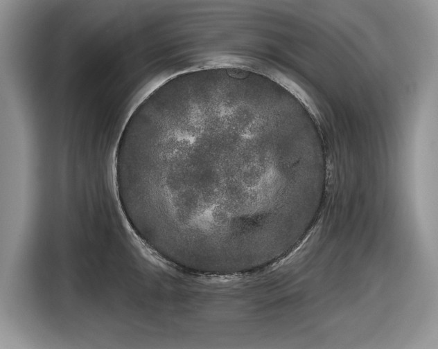 X0000116431047200912151014