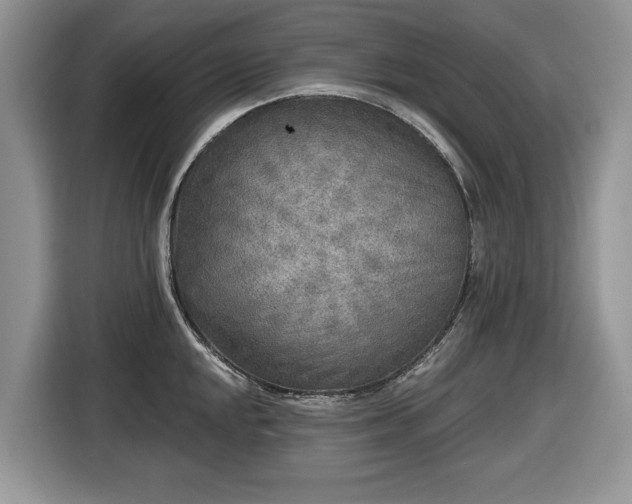 X0000116431048200912151014