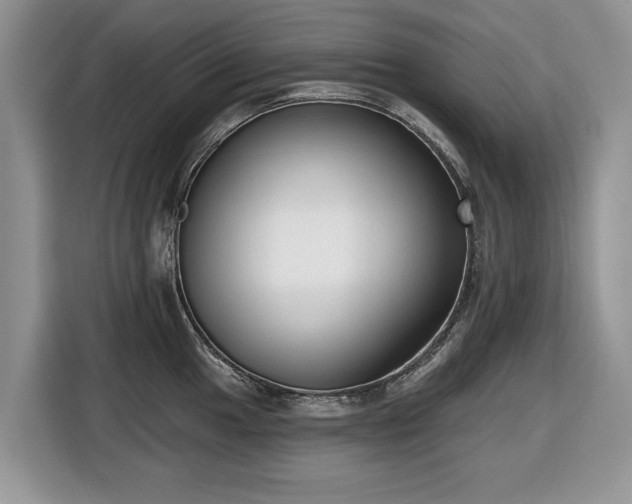 X0000116431049200912151014