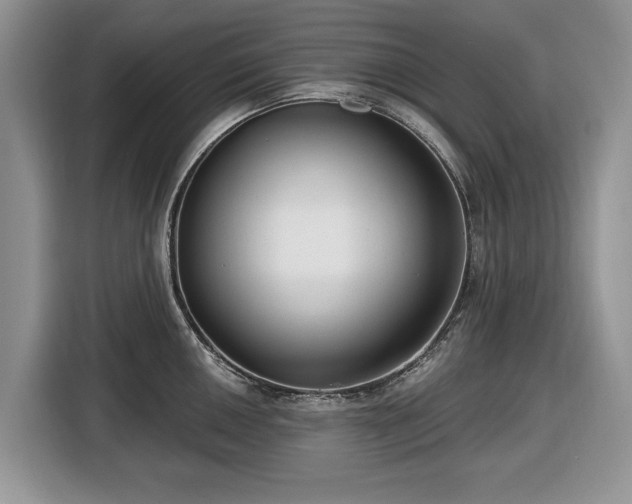 X0000116431050200912151014