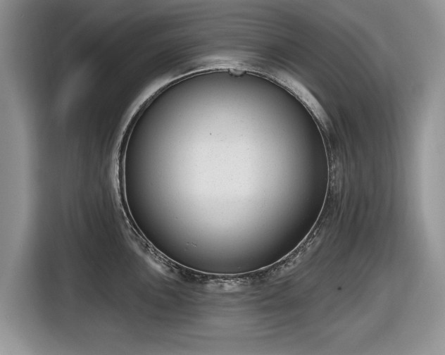 X0000116431051200912151014